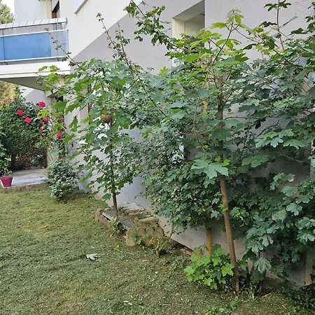 Nice Spacious Nest In